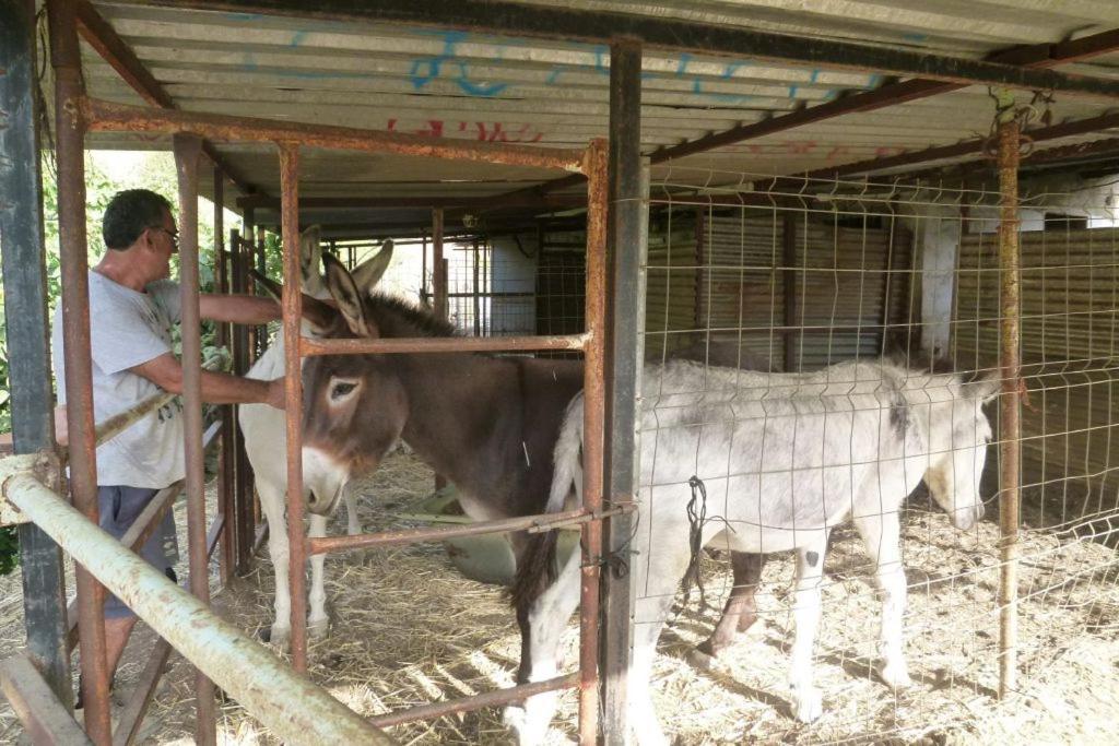 Finca Los Burros Tolatán 外观 照片