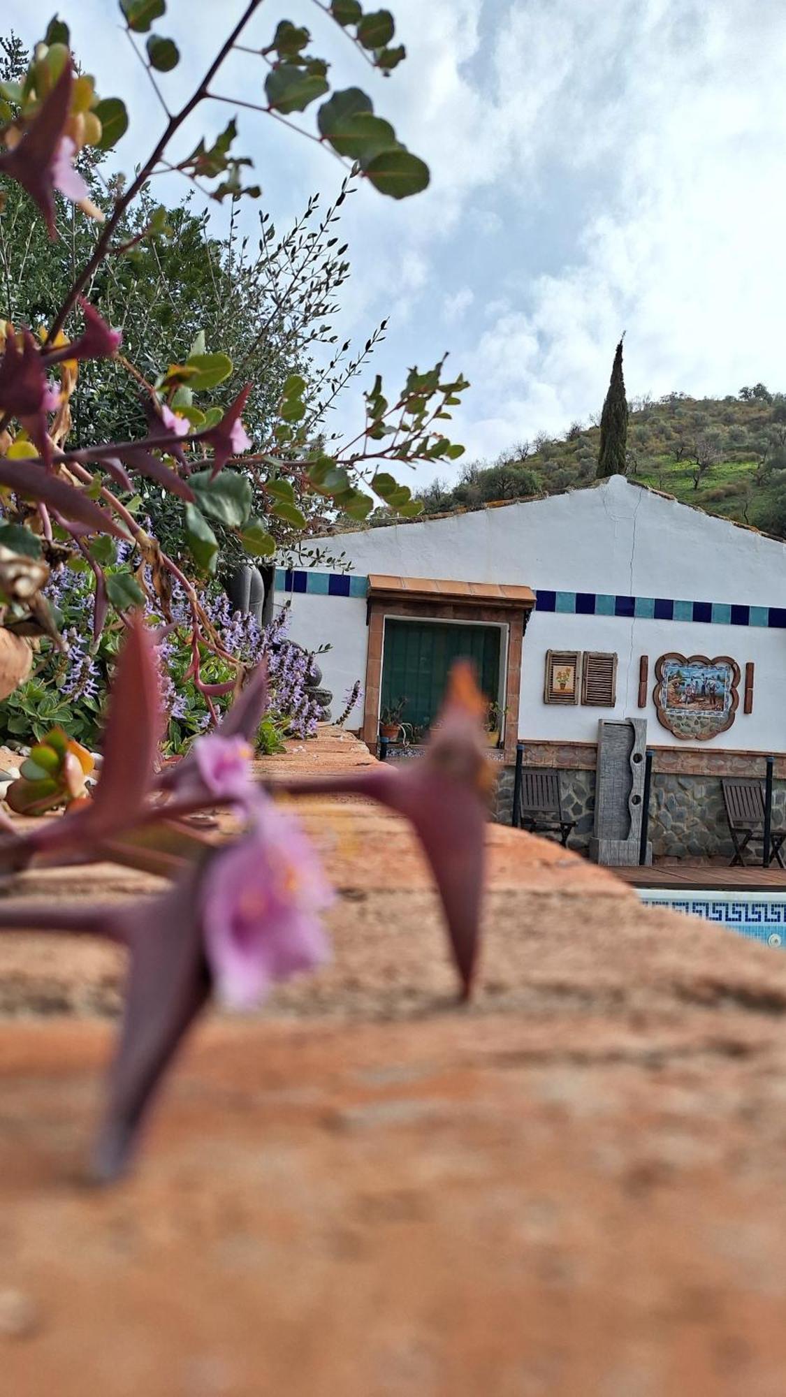 Finca Los Burros Tolatán 外观 照片